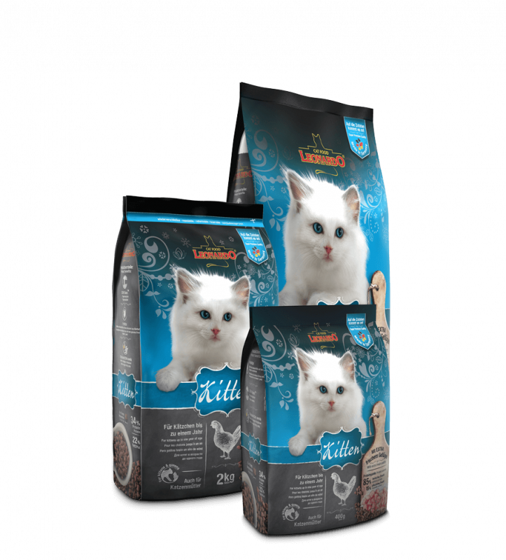 Leonardo Kitten   7,5 kg