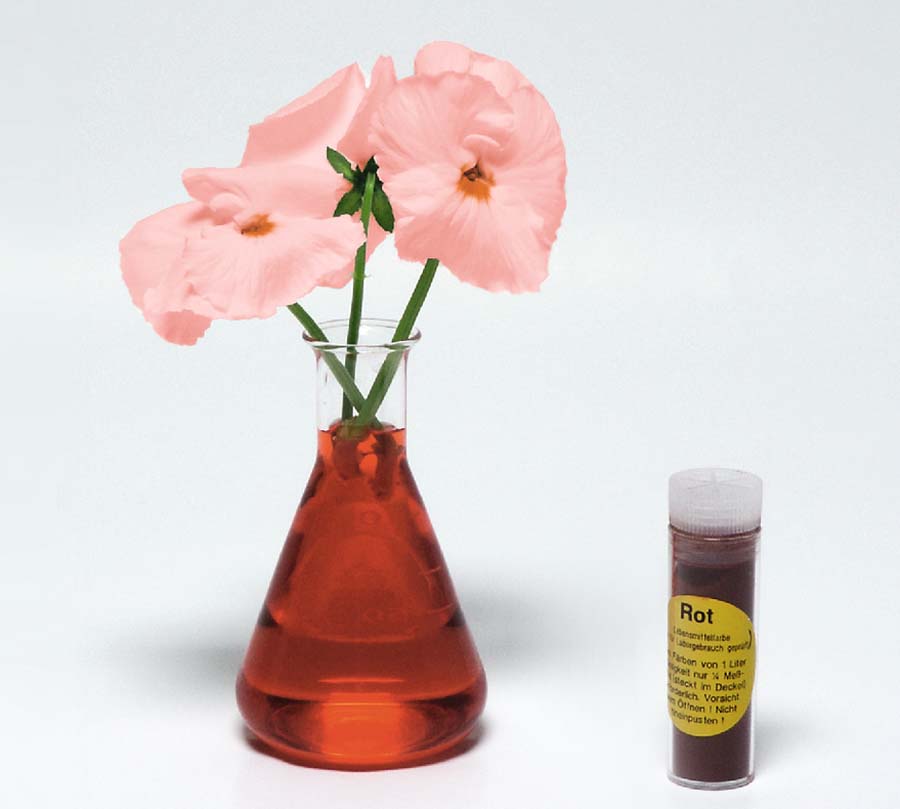 Naturphänomene - Experimentierbox