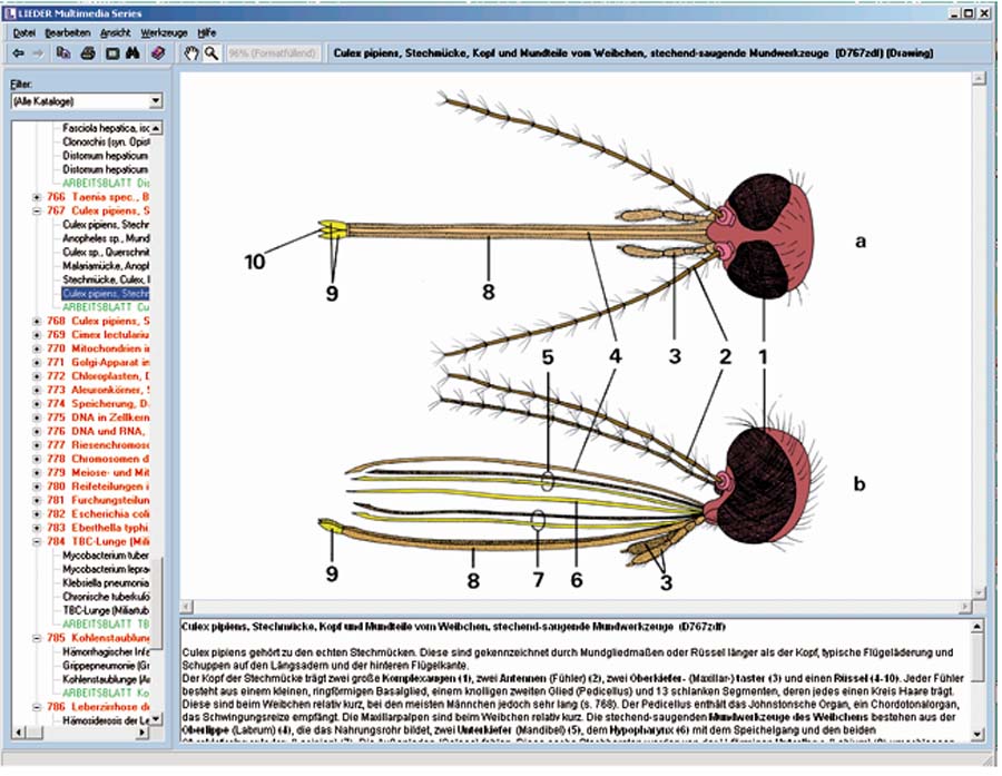 CD-ROM mit Arbeitsmaterial zur Schulserie D