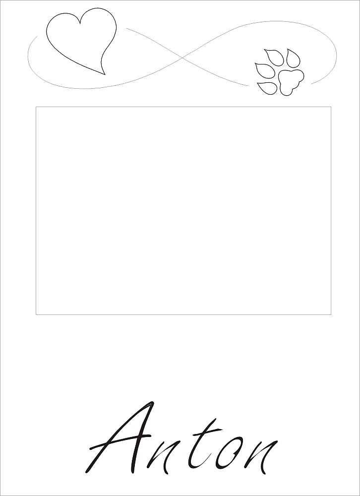 Infiniti  15,50