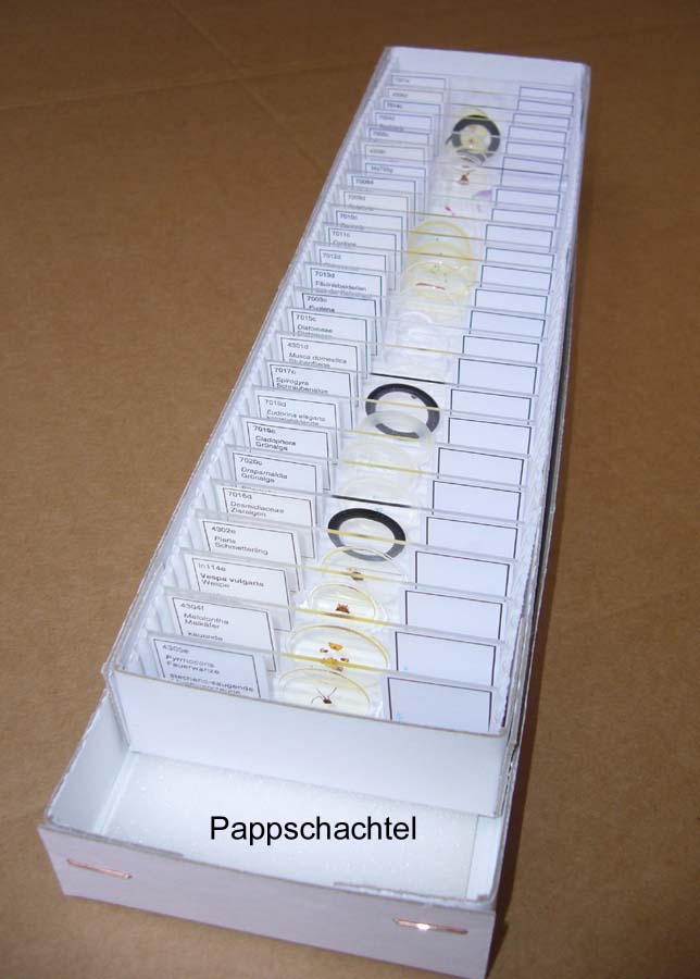 Präparatekasten