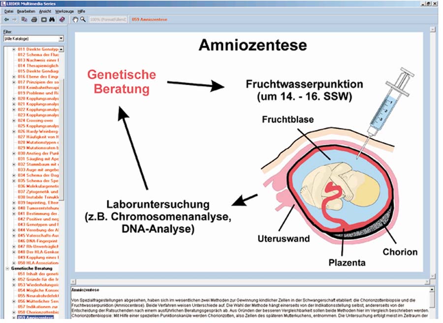 Vererbung und Genetik des Menschen Teil II