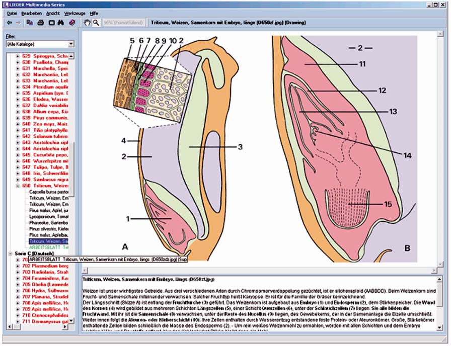 CD-ROM mit Arbeitsmaterial zur Schulserie B