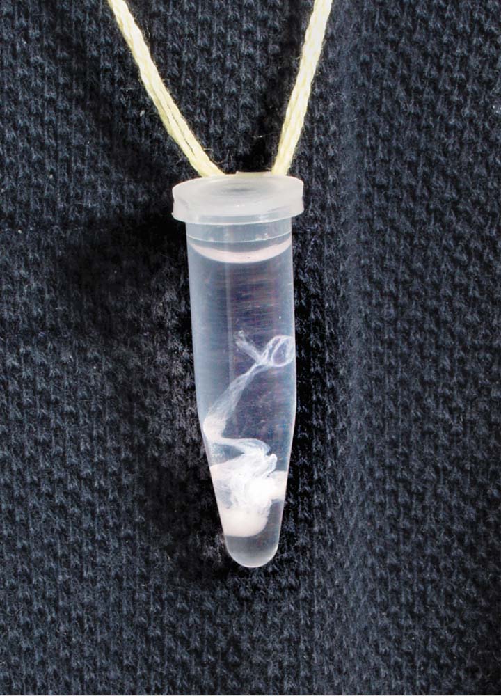 DNA-Gewinnung, Experimentier-Kit