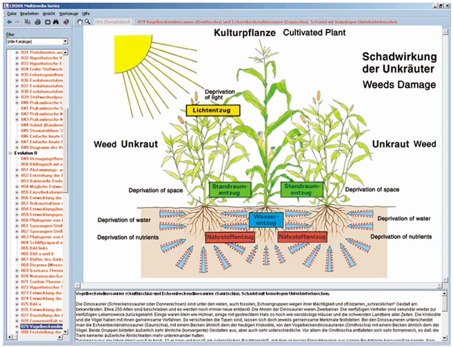 Pflanzenschäden und Pflanzenschutz