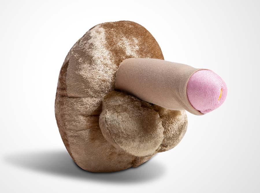 Penis Modell - beschnitten