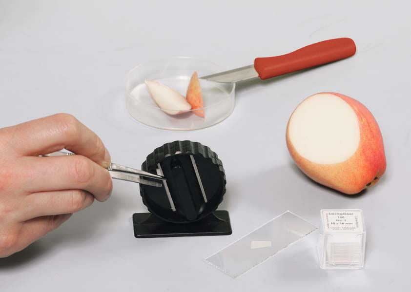 Mini-Box - Biologie