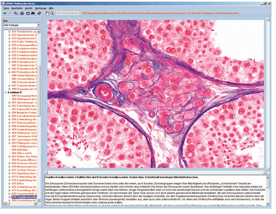 Hormone, Hormonsysteme und Steuerung