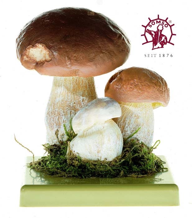 Pilzmodell - Steinpilz, Herrenpilz