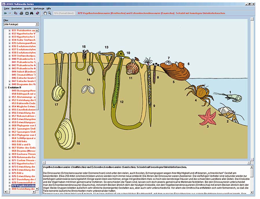 Biotope und Ökosysteme