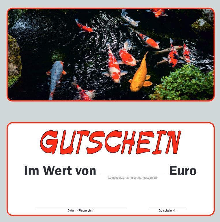 Koi Müller Erzgebirge Gutschein 40 Euro