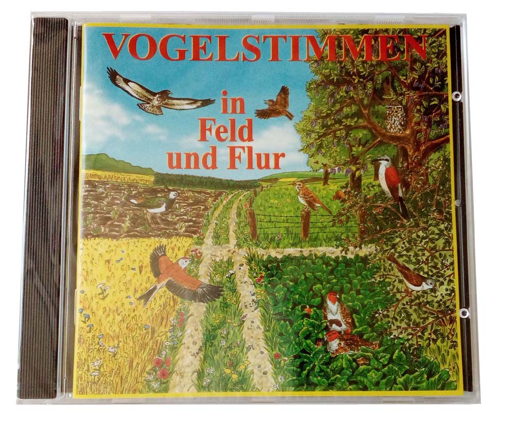 Vogelstimmen