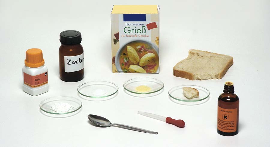Gerätesatz Mein Körper, meine Gesundheit