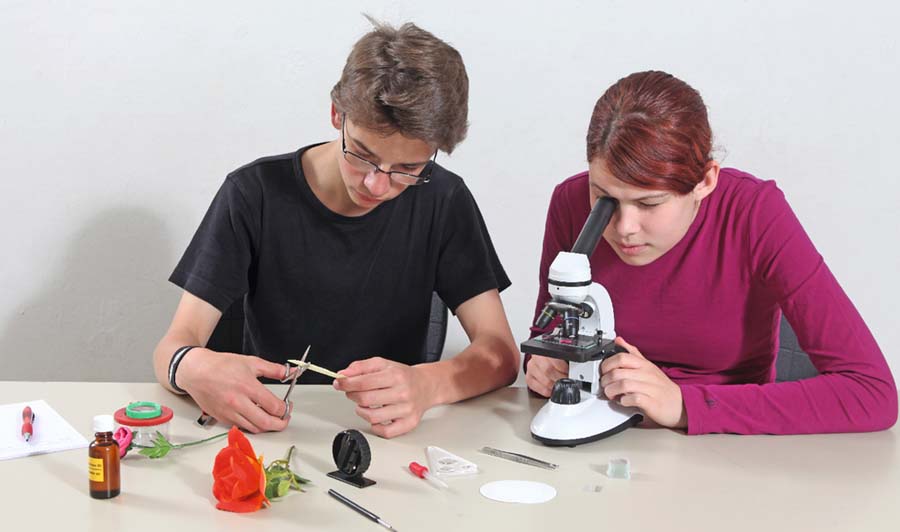 Schüler-Set Wege in die Welt des Kleinen