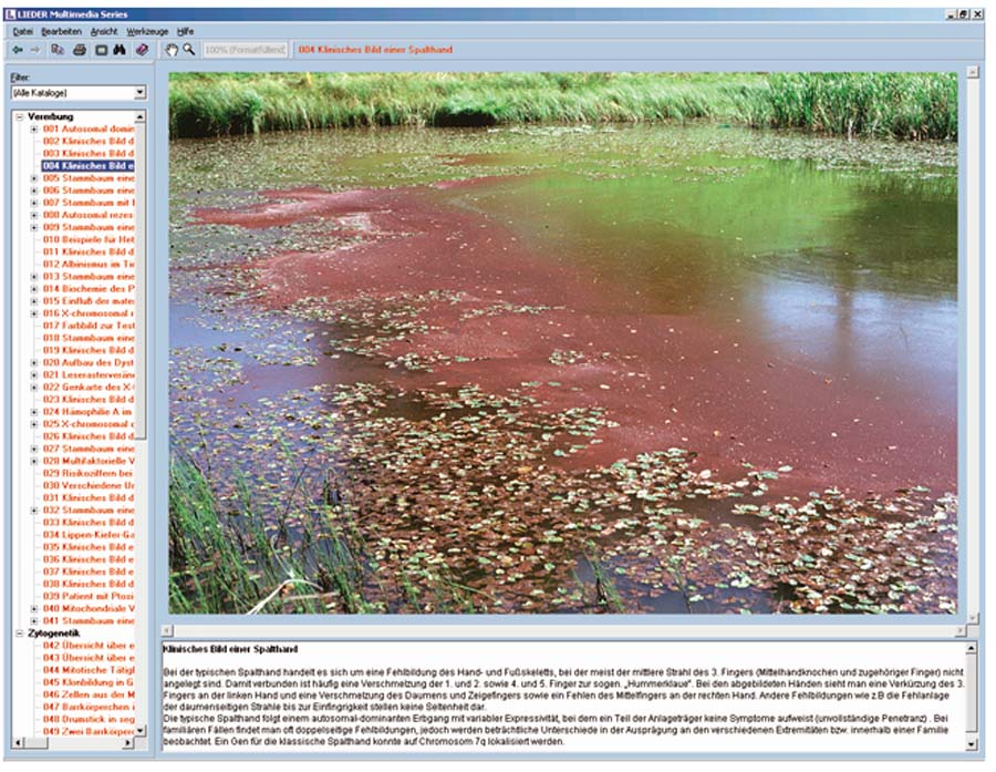 Biotope und Ökosysteme