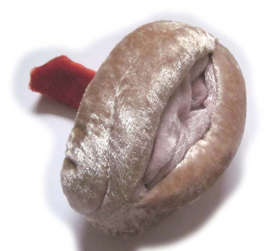 Vulva/Vagina Modell