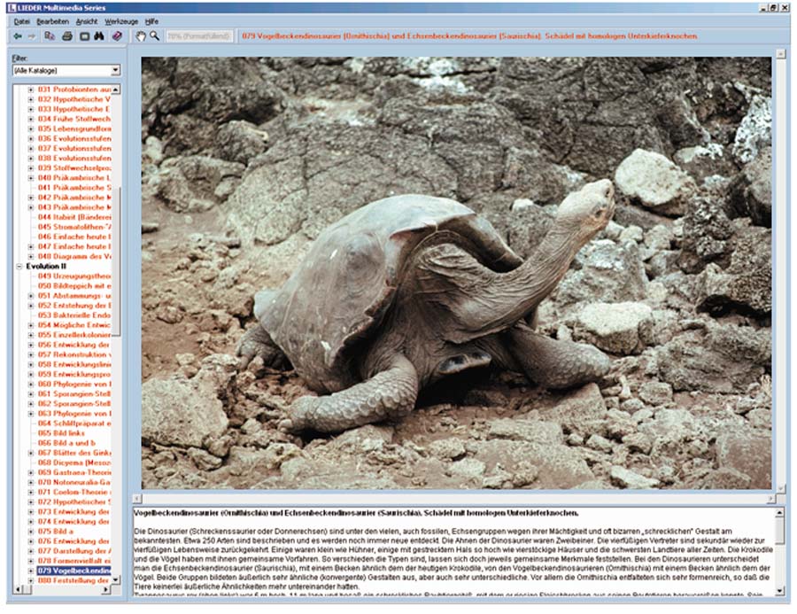 Evolution exemplarisch