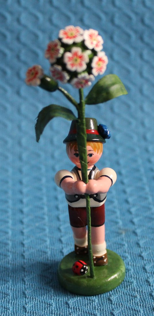 Junge mit Bartnelke