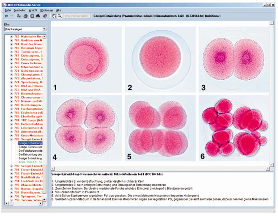 CD-ROM mit Arbeitsmaterial zur Schulserie D