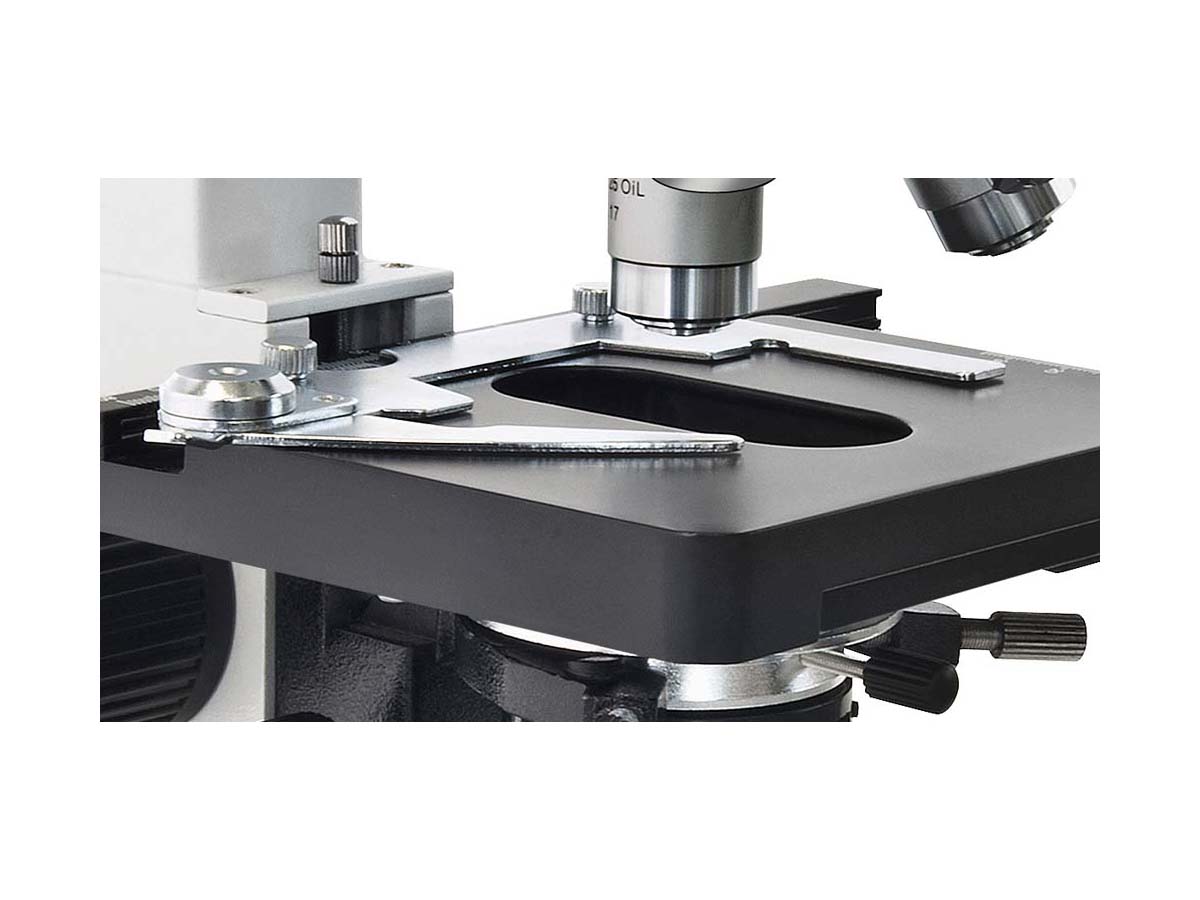 BRESSER Erudit DLX 40-600x
