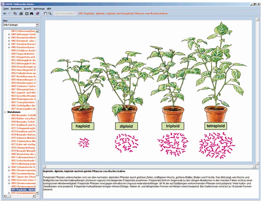 Mendelsche Gesetze, Modifikation und Mutation