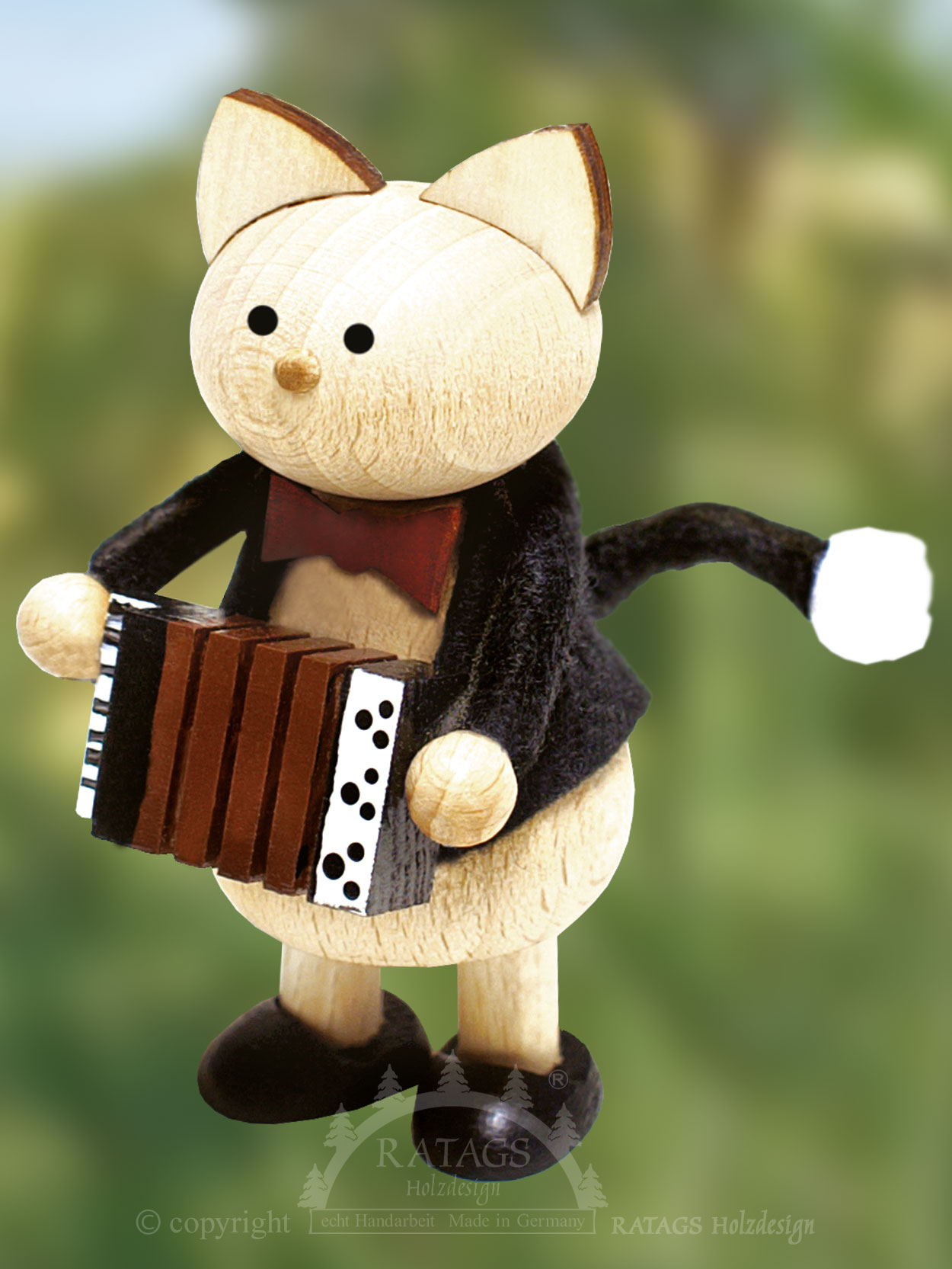 Katze mit Akkordeon