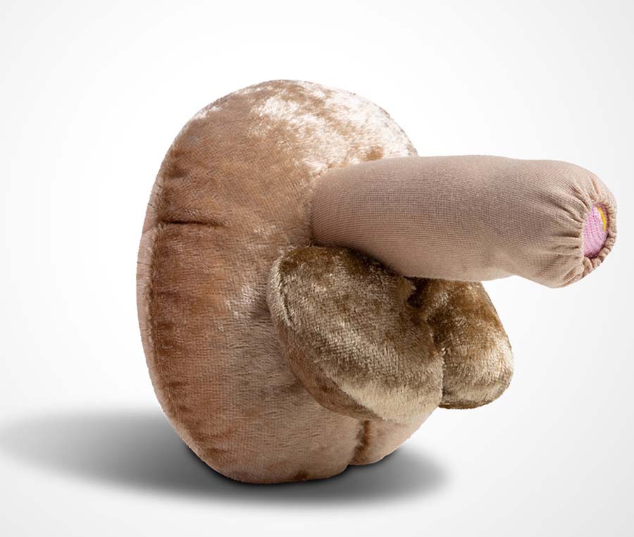 Penis Modell - unbeschnitten