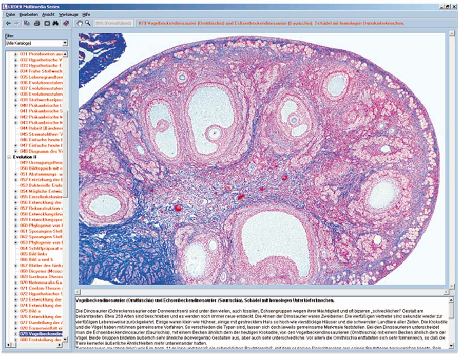 CD-ROM mit Arbeitsmaterial zur Schulserie C