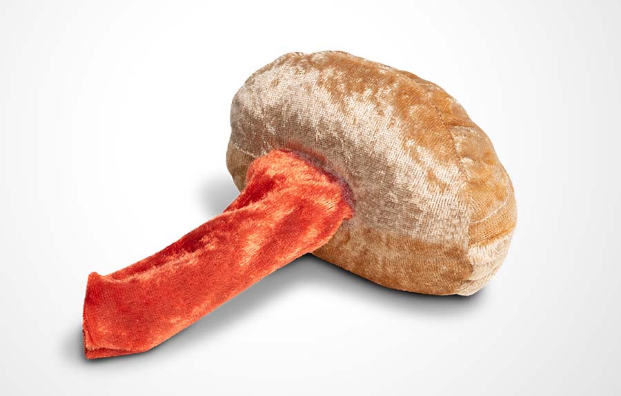 Vulva/Vagina Modell