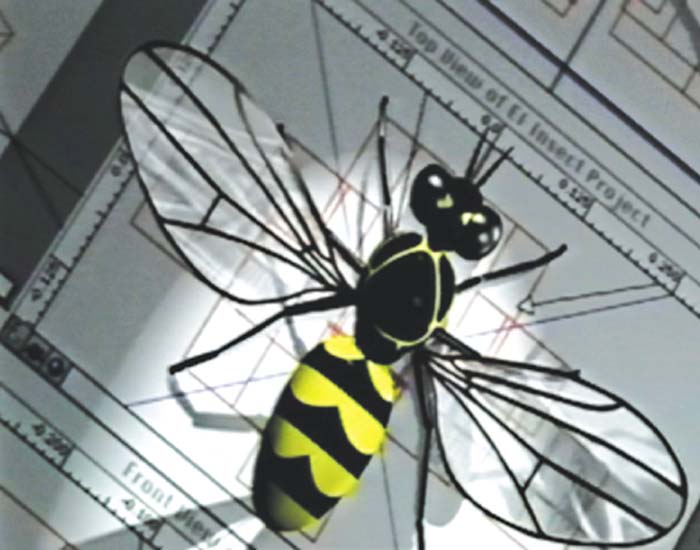 Die faszinierende Welt der Insekten - DVD