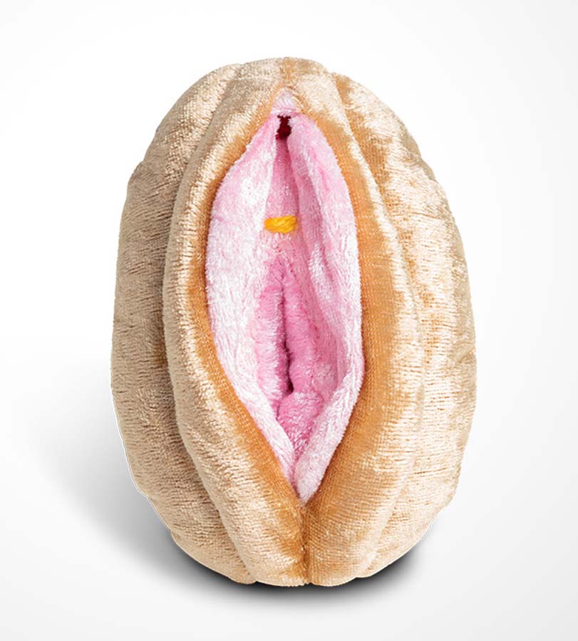 Vulva/Vagina Modell