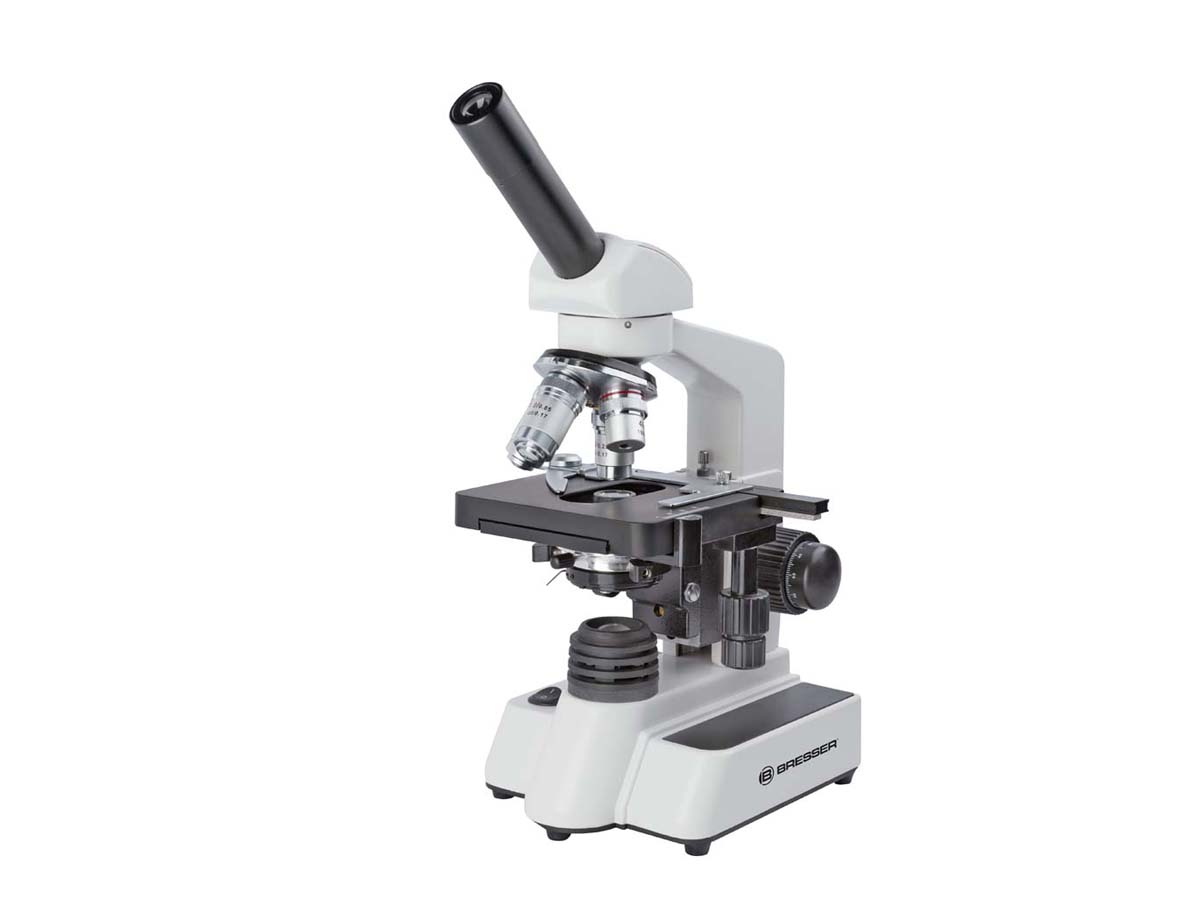 BRESSER Erudit DLX 40-600x
