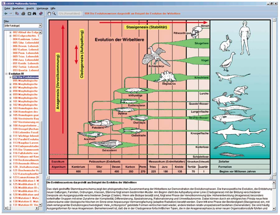Ursprung des Lebens und Evolution