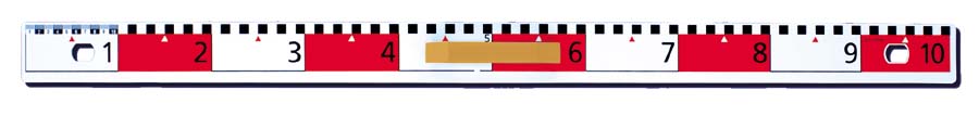 Flachprofil-Lineal mit dm-Skala