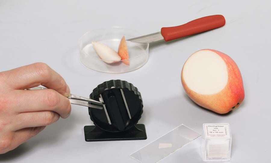 BioBox - Arbeitsgeräte - Experimentierbox