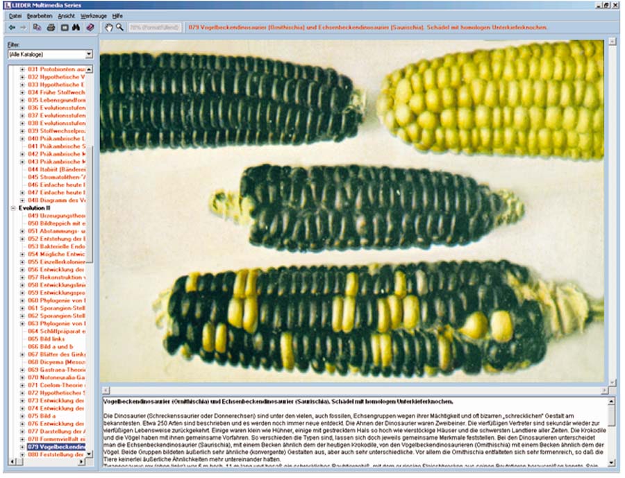 Mendelsche Gesetze, Modifikation und Mutation